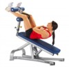 CYBEX BENT LEG ABDOMINAL BOARD 16171 - Скаья для пресса - Силовой тренажер - Кликните на картинке чтобы закрыть