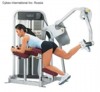 CYBEX EAGLE Glute 11170 - Ягодичные мышцы - Силовой тренажер CYBEX EAGLE Glute 11170 - Ягодичные мышцы - Силовой тренажер
