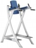 CYBEX Leg Rise Chair 16180 - Поднятие коленей/Брусья - Силовой тренажер