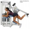 CYBEX VR3 Glute 12170-S - Ягодичные мышцы - Силовой тренажер CYBEX VR3 Glute 12170-S - Ягодичные мышцы - Силовой тренажер