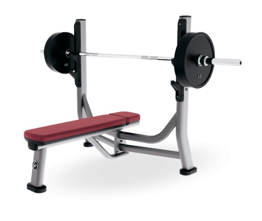 Life Fitness LifeFitness SOFB Олимпийская скамья горизонтальная Силовой тренажер - Кликните на картинке чтобы закрыть